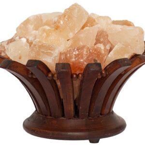 Lampada di sale Himalaya Braciere su Legno Fiore BiciBio