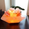 Lampada-di-Sale-Rosa-Himalayano-Piramide-Capovolta-bicibio-bioprofumeria.jpeg Lampada di Sale Himalaya Braciere Piramide Capovolta BiciBio Bioprofumeria