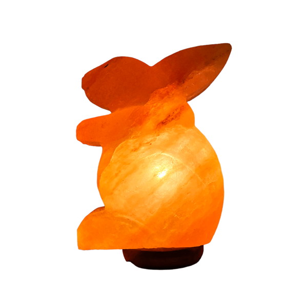 Lampada di Sale Himalayano Rosa a Forma di Coniglio 4 kg BiciBio Bioprofumeria