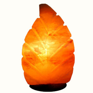 Lampada di Sale Himalaya Foglia BiciBio Bioprofumeria