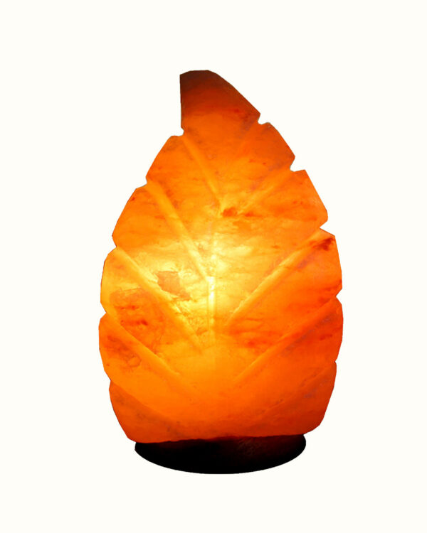 Lampada di Sale Himalaya Foglia BiciBio Bioprofumeria