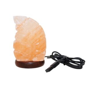 Lampade di Sale Himalaya Foglia USB BiciBio Bioprofumeria