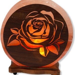 Lampade di Sale Himalayano Modello Rosa BiciBio Bioprofumeria