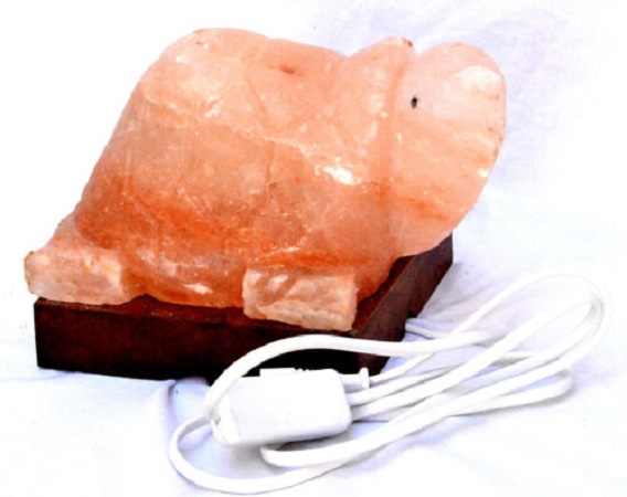 Lampada di Sale Rosa Himalayano Tartaruga BiciBio Bioprofumeria