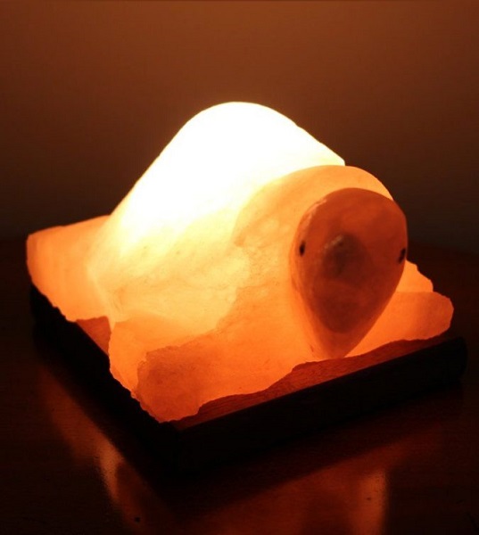 Lampada di Sale Rosa Himalayano Tartaruga BiciBio Bioprofumeria
