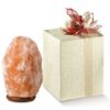 bomboniere-lampade-di-sale-himalaya-palermo-bomboniere-in-sale-rosa-himalayano-per-matrimonio-battesimo-e-comunione.jpg Bomboniere Lampade di Sale Himalaya Palermo – Bomboniere in Sale Rosa Himalayano per Matrimonio, Battesimo e Comunione