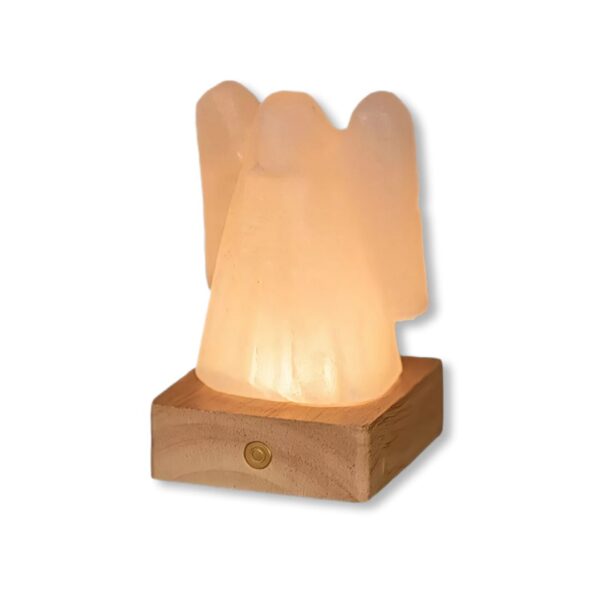 Lampada di Sale Himalayano Angelo LED RGB a Batteria Naturale Palermo