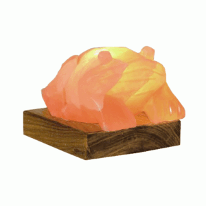 Lampada di Sale Himalaya a Forma di Rana 4-5 kg BiciBio Bioprofumeria