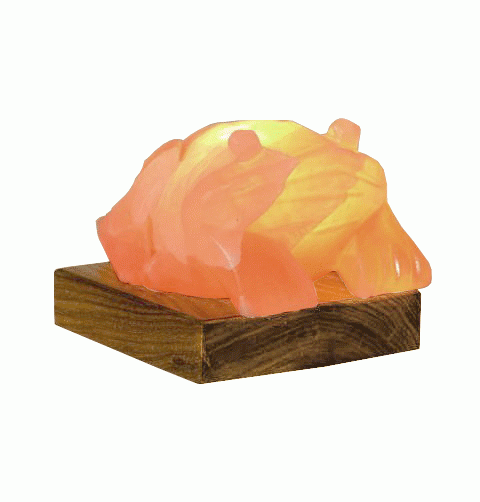 Lampada di Sale Himalaya a Forma di Rana 4-5 kg BiciBio Bioprofumeria