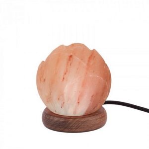 Lampade di Sale Himalaya Rosa USB Bicibio Bioprofumeria