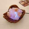lampada-di-sale-himalaya-artigianale-mani-in-offerta-2-bicibio-bioprofumeria.png Lampada Di Sale Himalaya Mani Legno USB BiciBio Bioprofumeria