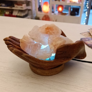 Lampada Di Sale Himalaya Mani Legno USB BiciBio Bioprofumeria
