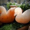 Lampada di Sale Rosa Himalayano Cigno BiciBIo Bioprofumeria