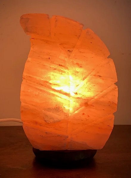 Lampada di Sale Himalaya Foglia BiciBio Bioprofumeria