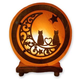 Lampada di Sale Himalaya Personalizzata Gatti Innamorati BiciBio Bioprofumeria