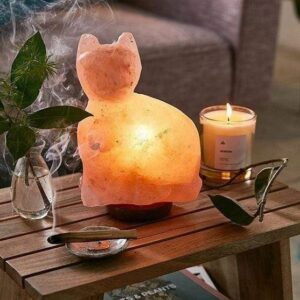Lampada di Sale Rosa Himalayano Gatto BiciBIo Bioprofumeria