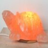 Lampada di Sale Himalaya Tartaruga Usb Multicolor BiciBio
