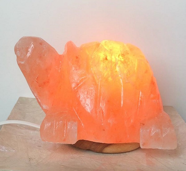 Lampada di Sale Himalaya Tartaruga Usb Multicolor BiciBio