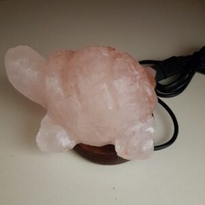 Lampada di Sale Himalaya Tartaruga Usb Multicolor BiciBio