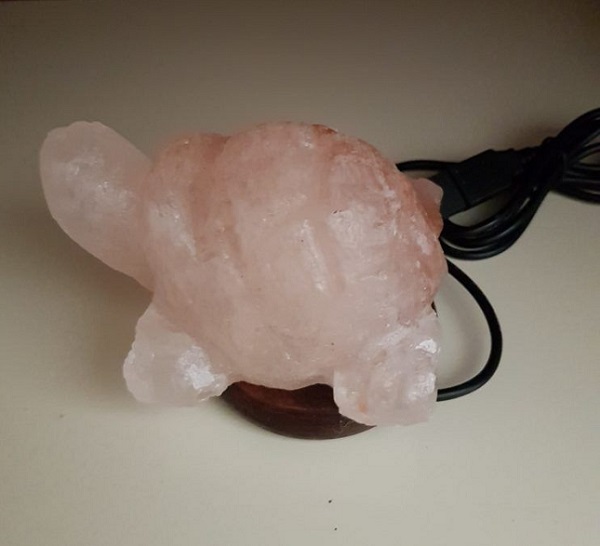 Lampada di Sale Himalaya Tartaruga Usb Multicolor BiciBio
