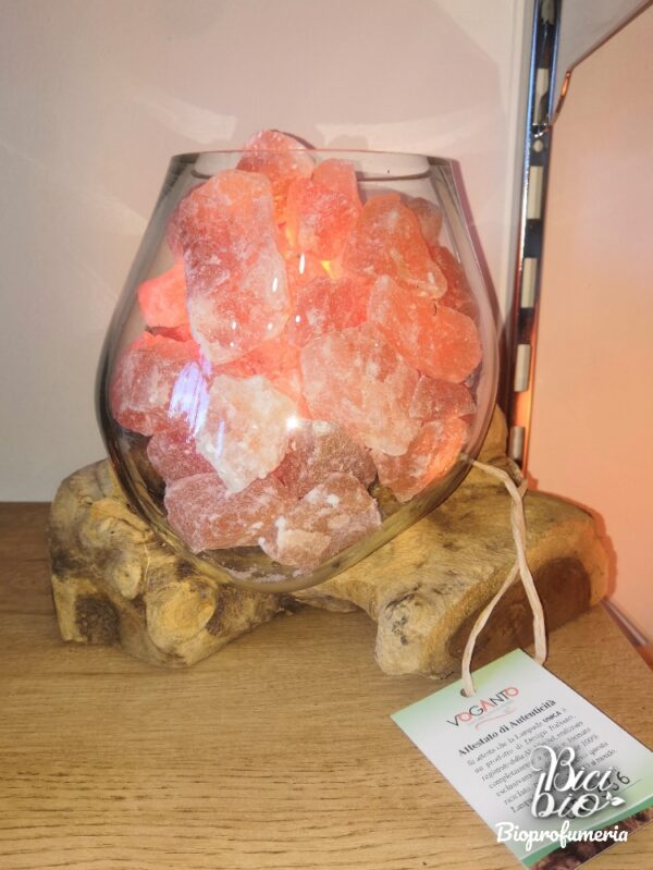 Lampada di Sale Himalayano UNICA Vetro su Legno cm 20 Voganto 