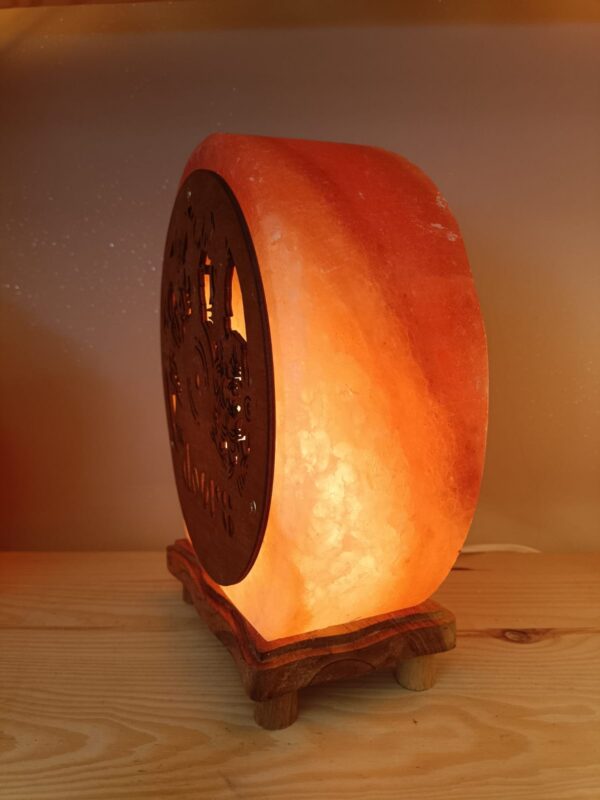 Lampada di Sale Himalayano 33 Giri The Doors BiciBio Bioprofumeria