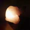 Lampada di Sale Himalayano Bianca a Forma di Elefante BiciBio Bioprofumeria Palermo