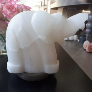Lampada di Sale Himalayano Bianca a Forma di Elefante BiciBio Bioprofumeria Palermo