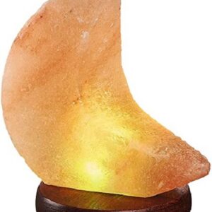 Lampade di Sale Himalayano Luna USB BiciBio Bioprofumeria