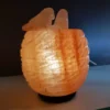 Lampada di Sale Himalayano Rosa Nido Originale BiciBio Bioprofumeria Palermo