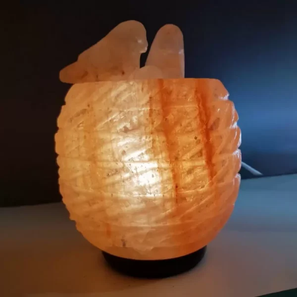Lampada di Sale Himalayano Rosa Nido Originale BiciBio Bioprofumeria Palermo