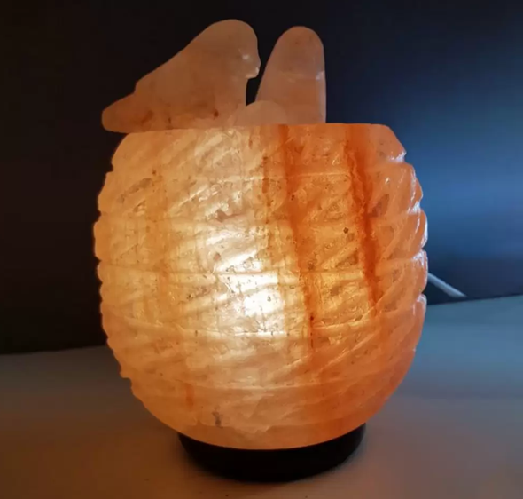 Lampada di Sale Himalayano Rosa Nido Originale BiciBio Bioprofumeria Palermo
