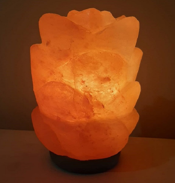 Lampada di Sale Himalayano Tulipano Bicibio Bioprofumeria