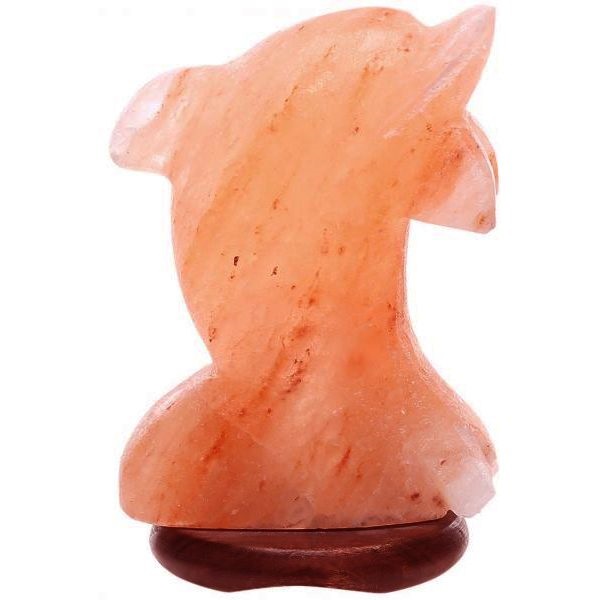 Lampade di Sale Himalaya Delfino USB BiciBio Bioprofumeria