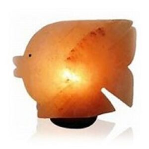 Lampada di Sale Himalaya Forma di Pesce BiciBIo Biioprofumeria