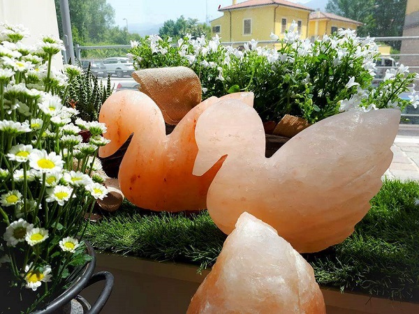 Lampada di Sale Rosa Himalayano Cigno BiciBIo Bioprofumeria