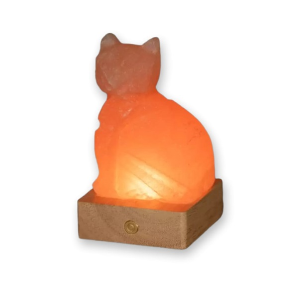 lampada-sale-himalayano-artigianale-gatto-palermo-1.png Lampada di Sale Himalayano Gatto a Batteria RGB Palermo Sicilia