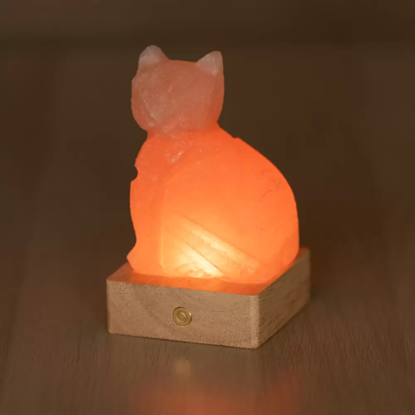 lampada-sale-himalayano-artigianale-gatto-palermo.png Lampada di Sale Himalayano Gatto a Batteria RGB Palermo Sicilia