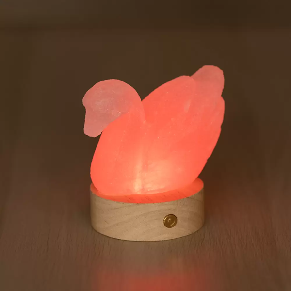 Lampada di Sale Himalayano Cigno a Batteria RGB Palermo Sicilia