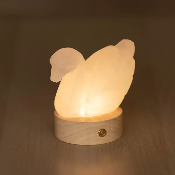 Lampada di Sale Himalayano Cigno a Batteria RGB Palermo Sicilia