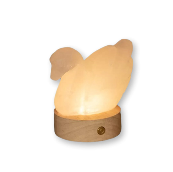 Lampada di Sale Himalayano Cigno a Batteria RGB Palermo Sicilia