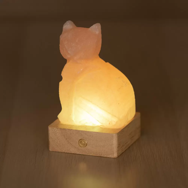 lampada-sale-himalayano-gatto-batteria-palermo-sicilia.png Lampada di Sale Himalayano Gatto a Batteria RGB Palermo Sicilia