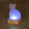 lampada-sale-himalayano-gatto-regalo-originale-palermo.png Lampada di Sale Himalayano Gatto a Batteria RGB Palermo Sicilia