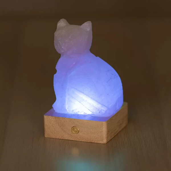 lampada-sale-himalayano-gatto-regalo-originale-palermo.png Lampada di Sale Himalayano Gatto a Batteria RGB Palermo Sicilia