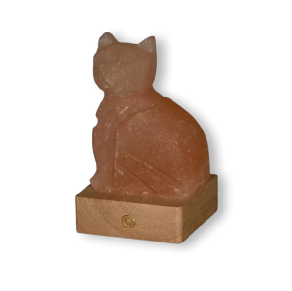 lampada-sale-himalayano-gatto-rosa-rgb-batteria-palermo-1.png Lampada di Sale Himalayano Gatto a Batteria RGB Palermo Sicilia